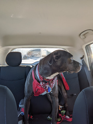 Pet Store «Uptown Petz», reviews and photos, 2351 Oregon Pike, Lancaster, PA 17601, USA