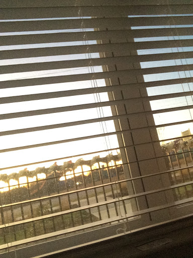 Nature Preserve «Spring Creek Forest Preserve», reviews and photos, 1770 Holford Rd, Garland, TX 75044, USA