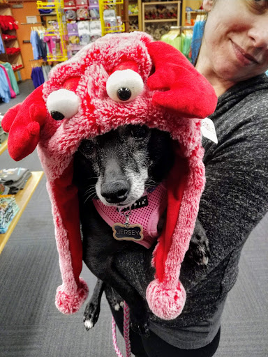 Gift Shop «Cool As A Moose», reviews and photos, 118 Main St, Bar Harbor, ME 04609, USA