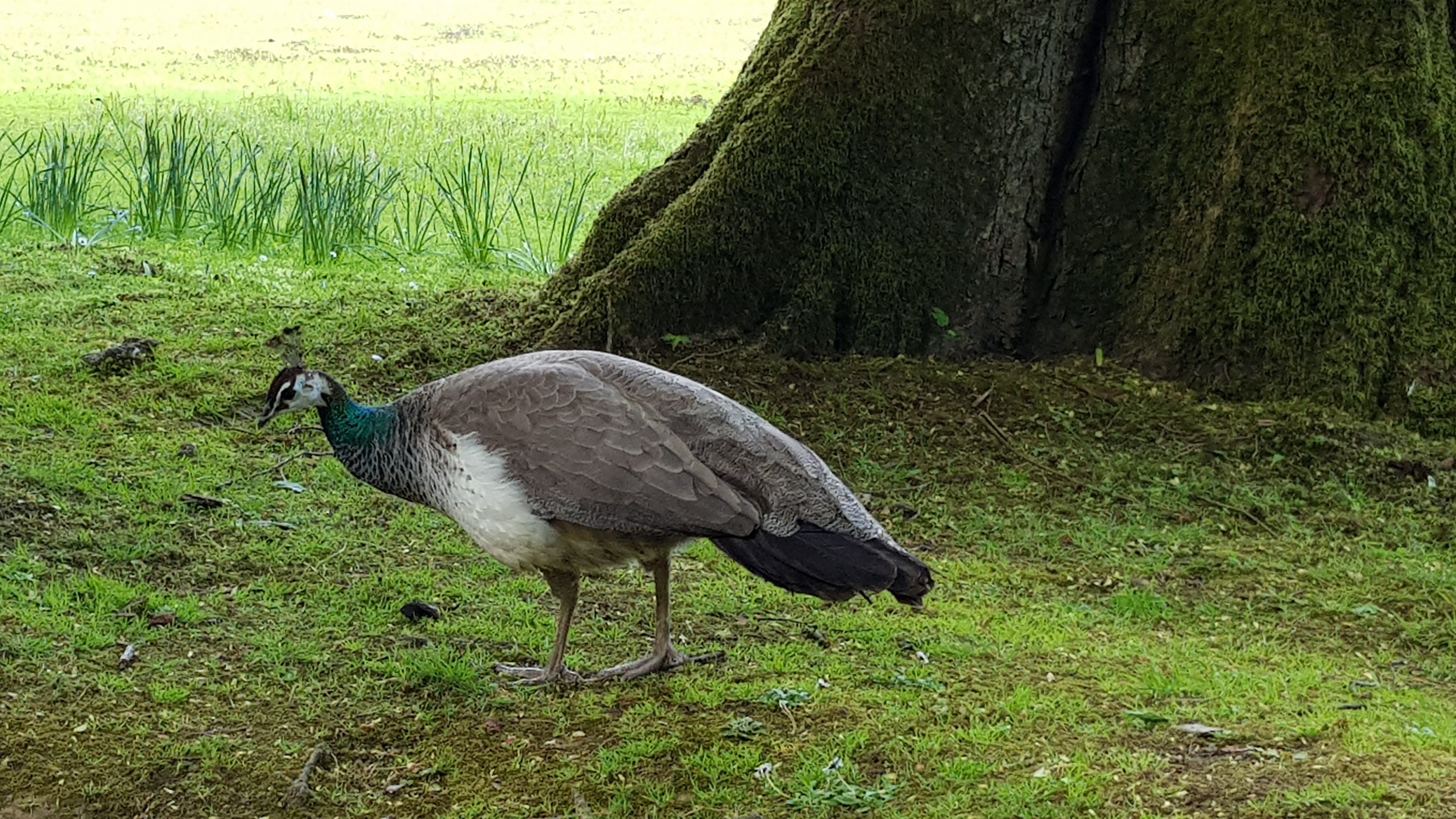 Photo n° 3 de l'avis de Tirlipinpon.u fait le 12/05/2019 à 18:48