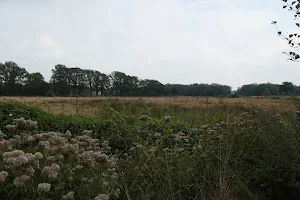 Bungalowpark 't Kooiveld-Simmelink image
