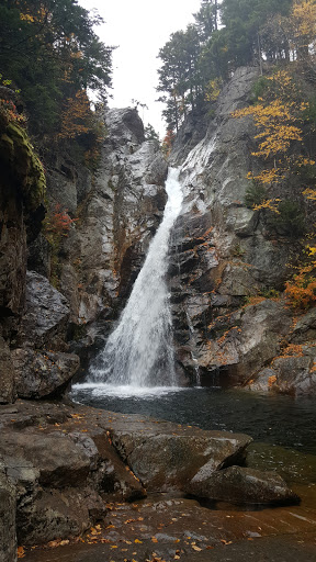 Home Improvement Store «The Home Depot», reviews and photos, 20 Farber Dr, Bellport, NY 11713, USA