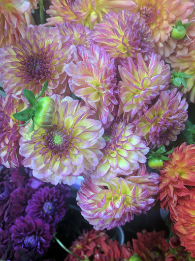 Florist «Portland Flower Market», reviews and photos, 3624 N Leverman St, Portland, OR 97217, USA