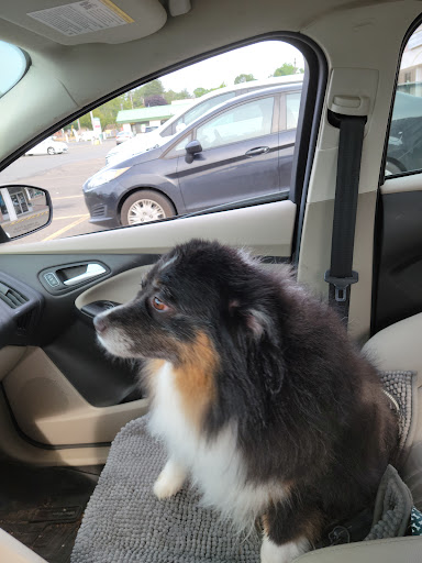 Pet Supply Store «Choice Pet - Fairfield», reviews and photos, 1947 Black Rock Turnpike, Fairfield, CT 06825, USA