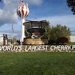 World's Largest Cherry Pie