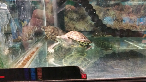 Pet Supply Store «Petco Animal Supplies», reviews and photos, 200 Triangle Shopping Center #230, Longview, WA 98632, USA