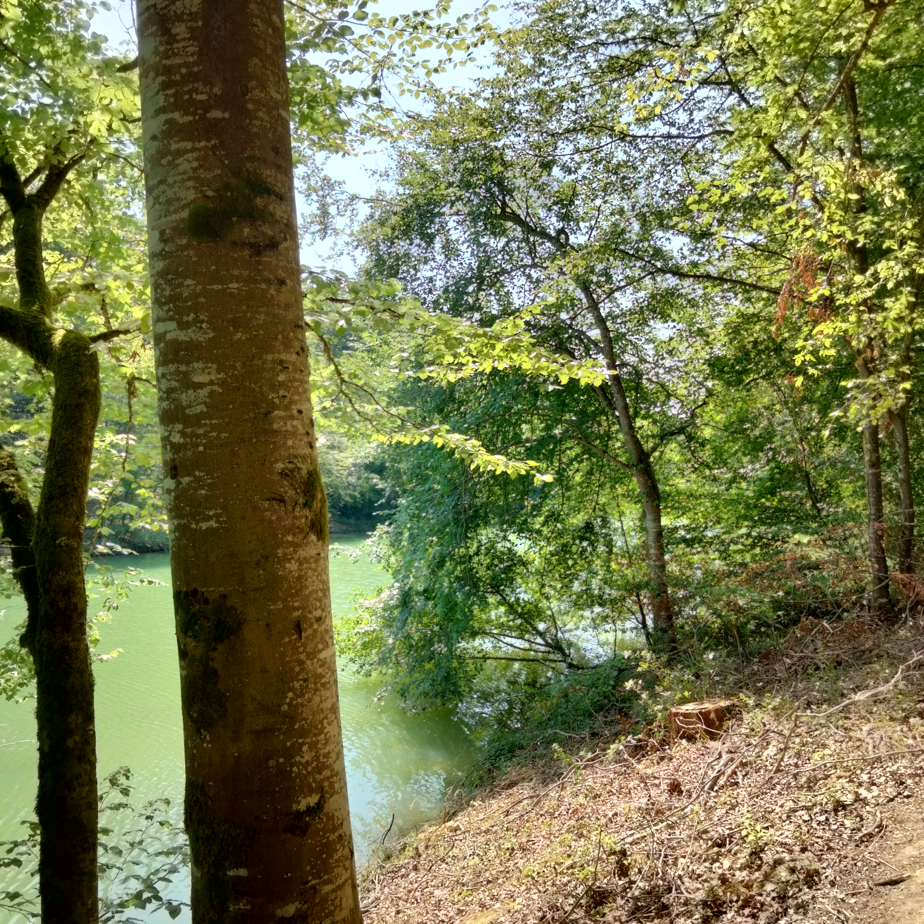 Photo n° 22 de l'avis de Jean-baptiste.r fait le 14/02/2023 à 09:16