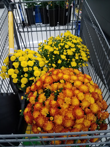 Discount Store «Walmart», reviews and photos, 950 Edwards Ferry Rd NE, Leesburg, VA 20176, USA