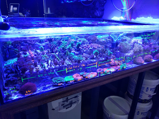 Pet Supply Store «New Wave Aquaria», reviews and photos, 14100 23rd Ave N, Minneapolis, MN 55447, USA