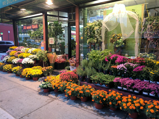 World of Flowers, 971 Manhattan Ave, Brooklyn, NY 11222, USA, 
