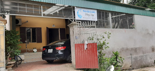 Phụ kiện cá cảnh Bằng Bốp