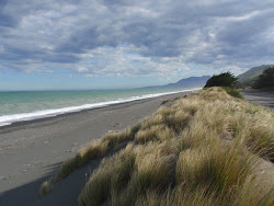 Foto von Black sand Beach mit langer gerader strand