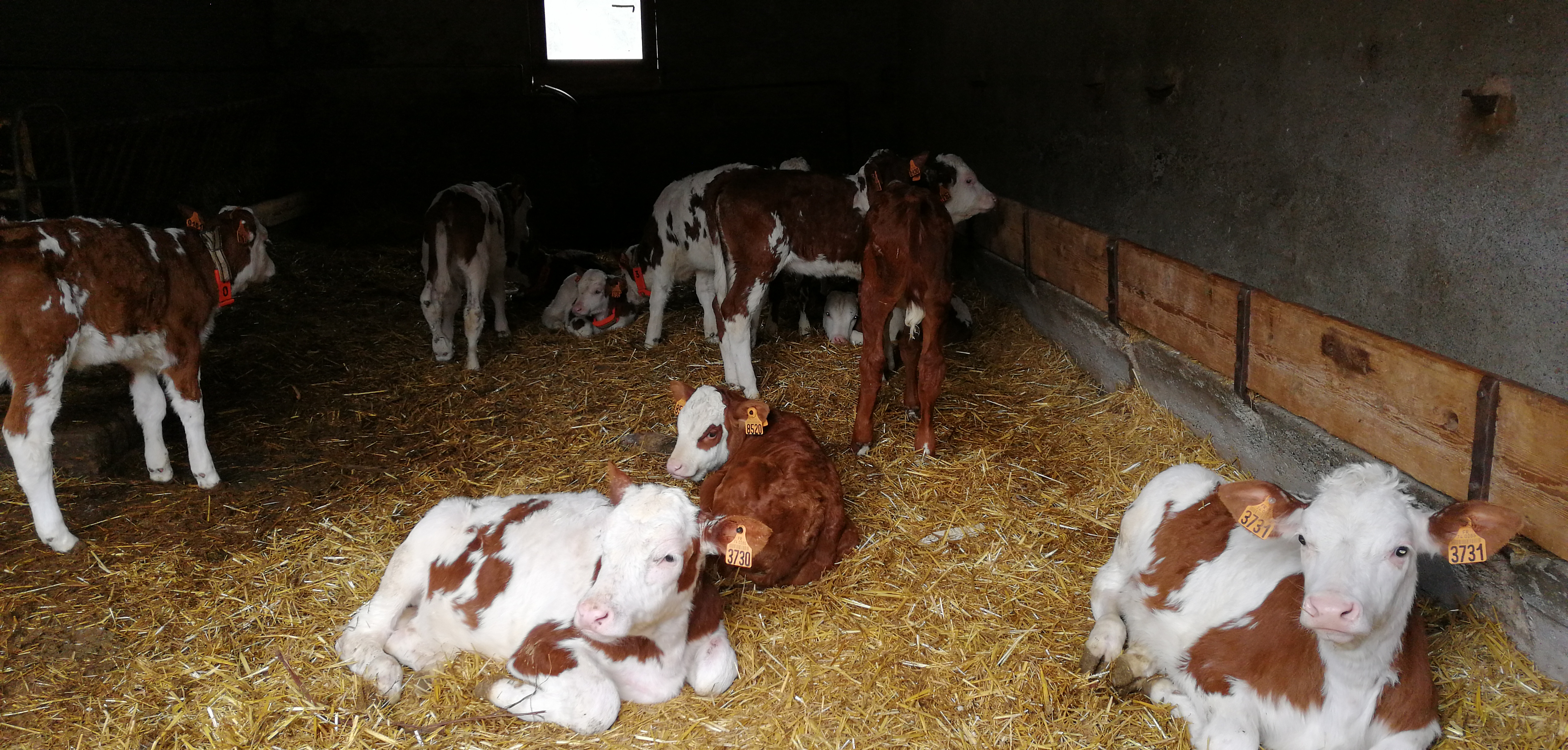 Photo n° 1 de l'avis de patsub74. fait le 17/02/2020 à 11:24