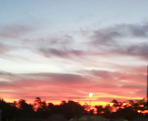 Performing Arts Theater «The Township Community Master Association Inc», reviews and photos, 2452 Lyons Rd, Pompano Beach, FL 33063, USA