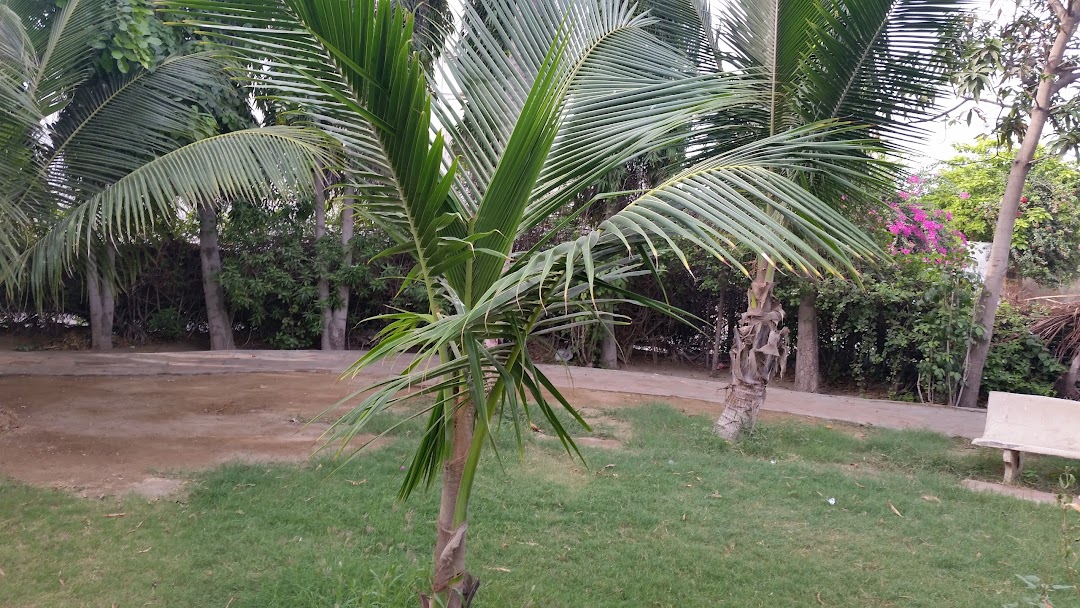 Coconut Park