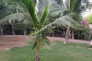 Coconut Park image
