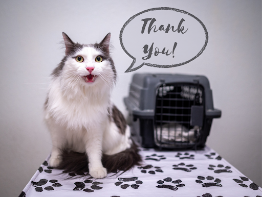 1130 Contra Costa Blvd, Pleasant Hill, CA 94523, USA