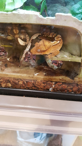 Pet Supply Store «Petco Animal Supplies», reviews and photos, 2250 Petrie Ln #518, Lanham, MD 20706, USA