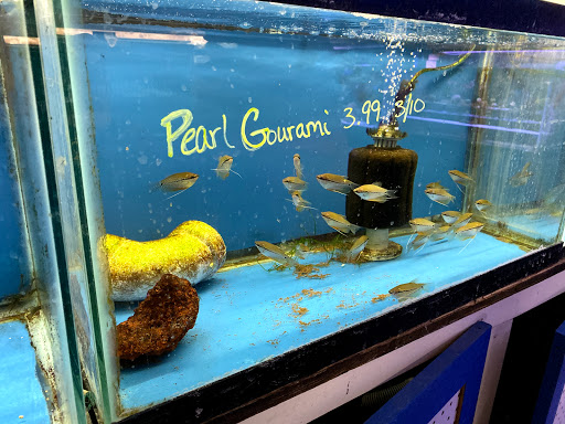 Pet Store «Fish Bowl Aquarium & Pet Mart», reviews and photos, 725 Providence St, West Warwick, RI 02893, USA