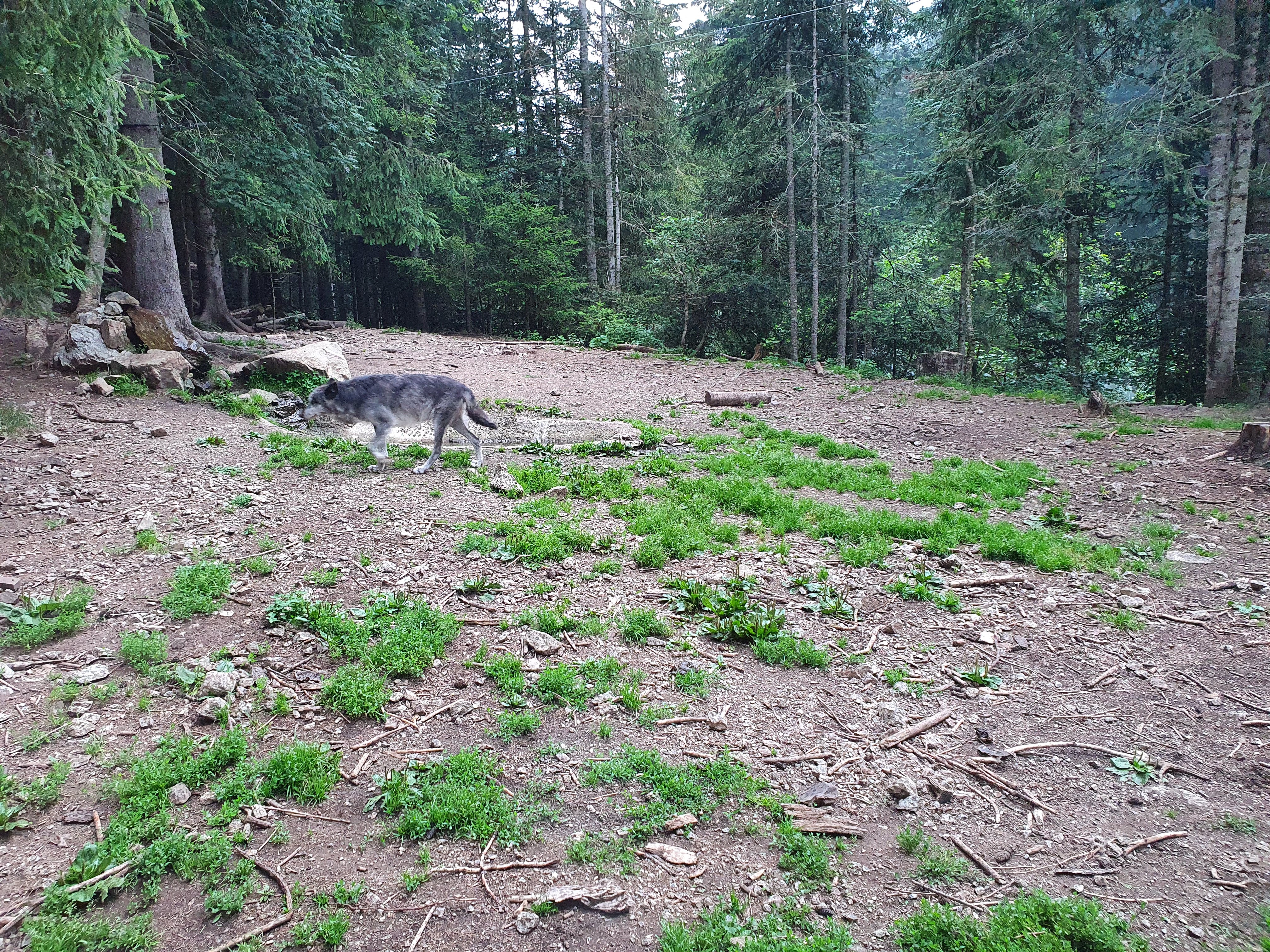 Photo n° 3 de l'avis de François.a fait le 22/07/2020 à 10:40
