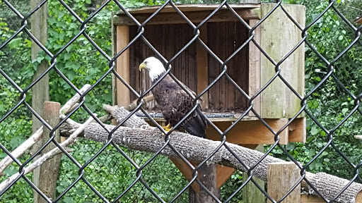 Camp «Howell Nature Center», reviews and photos, 1005 Triangle Lake Rd, Howell, MI 48843, USA