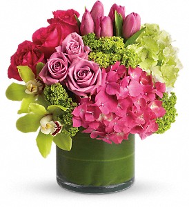 Florist «Xpressions Florist», reviews and photos, 14373 Blanco Rd, San Antonio, TX 78216, USA
