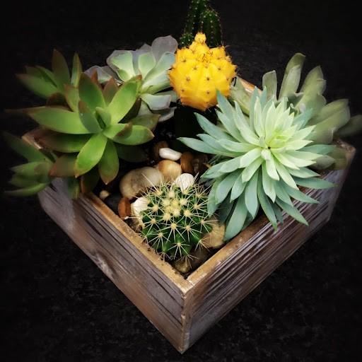 Florist «More Than Flowers», reviews and photos, 109 SE 2nd St, Miami, FL 33131, USA