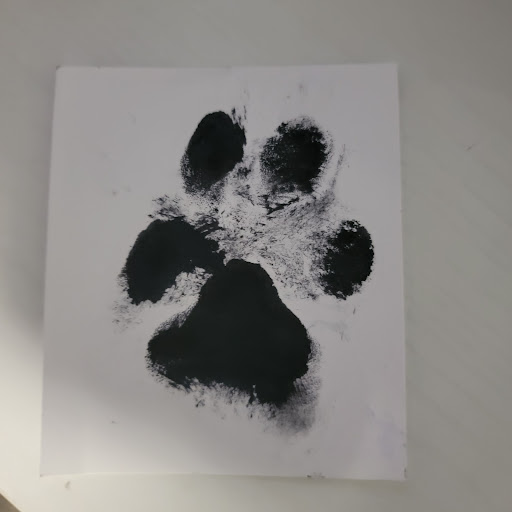 Explore medusa tattoo ideas small, creative tattoo ideas in Georgetown, available at Grasshopper Tattoo Studio