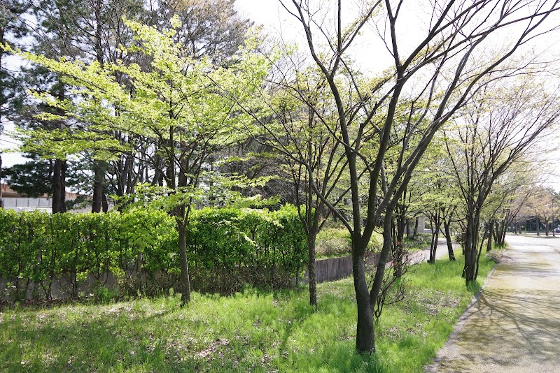 石川県西部緑地公園 平成の森