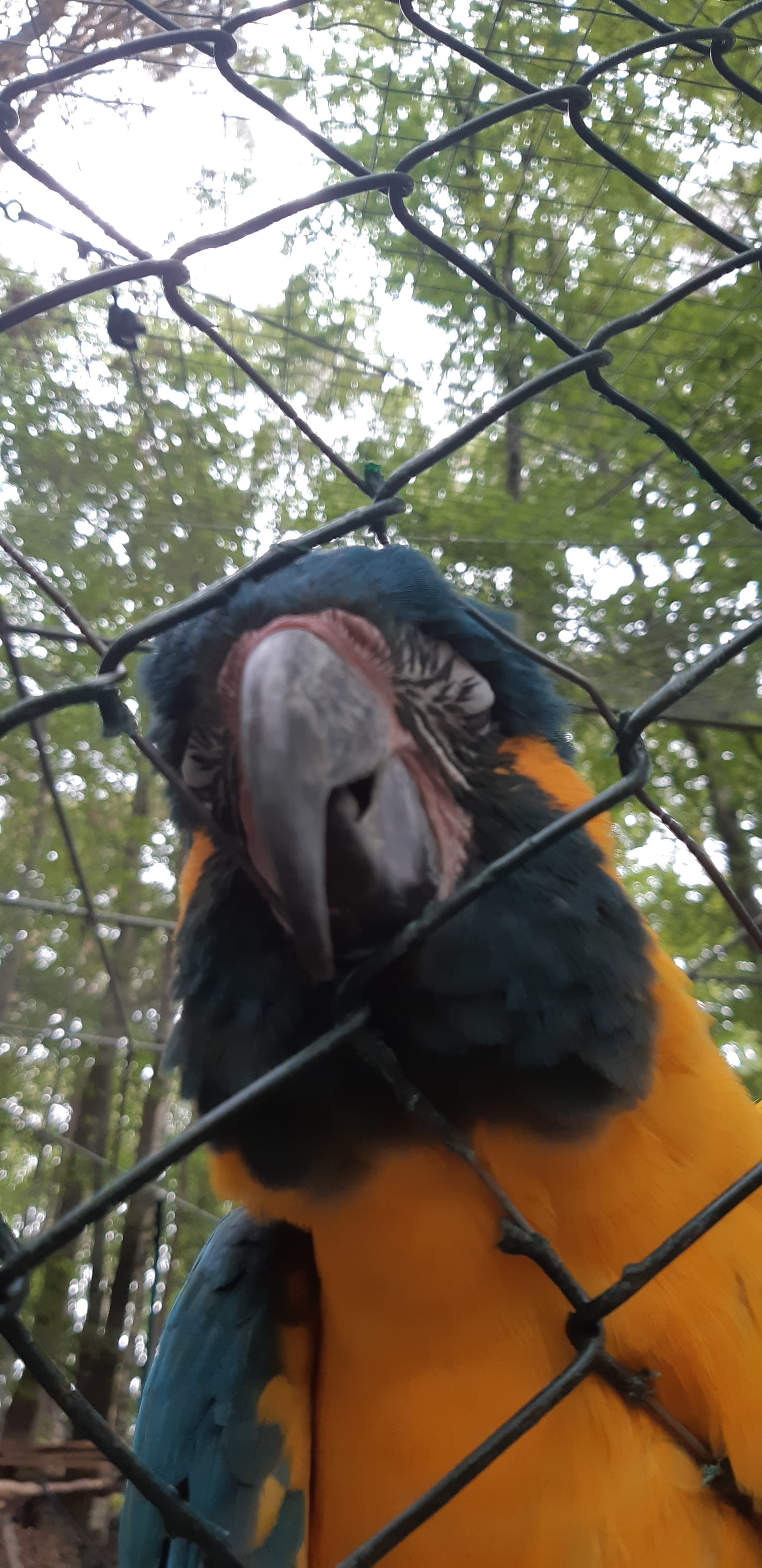 Photo n° 1 de l'avis de Cyril.I fait le 22/09/2018 à 16:08