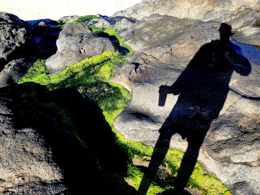 Coffee Shop «Dutch Bros», reviews and photos, 822 SW Coast Hwy, Newport, OR 97366, USA