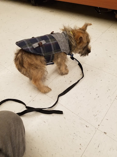 Pet Supply Store «PetSmart», reviews and photos, 1743 Stringtown Rd, Grove City, OH 43123, USA