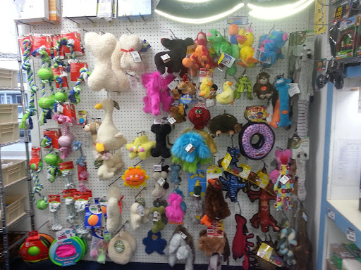 Pet Store «Laconia Pet Center», reviews and photos, 1343 Union Ave, Laconia, NH 03246, USA