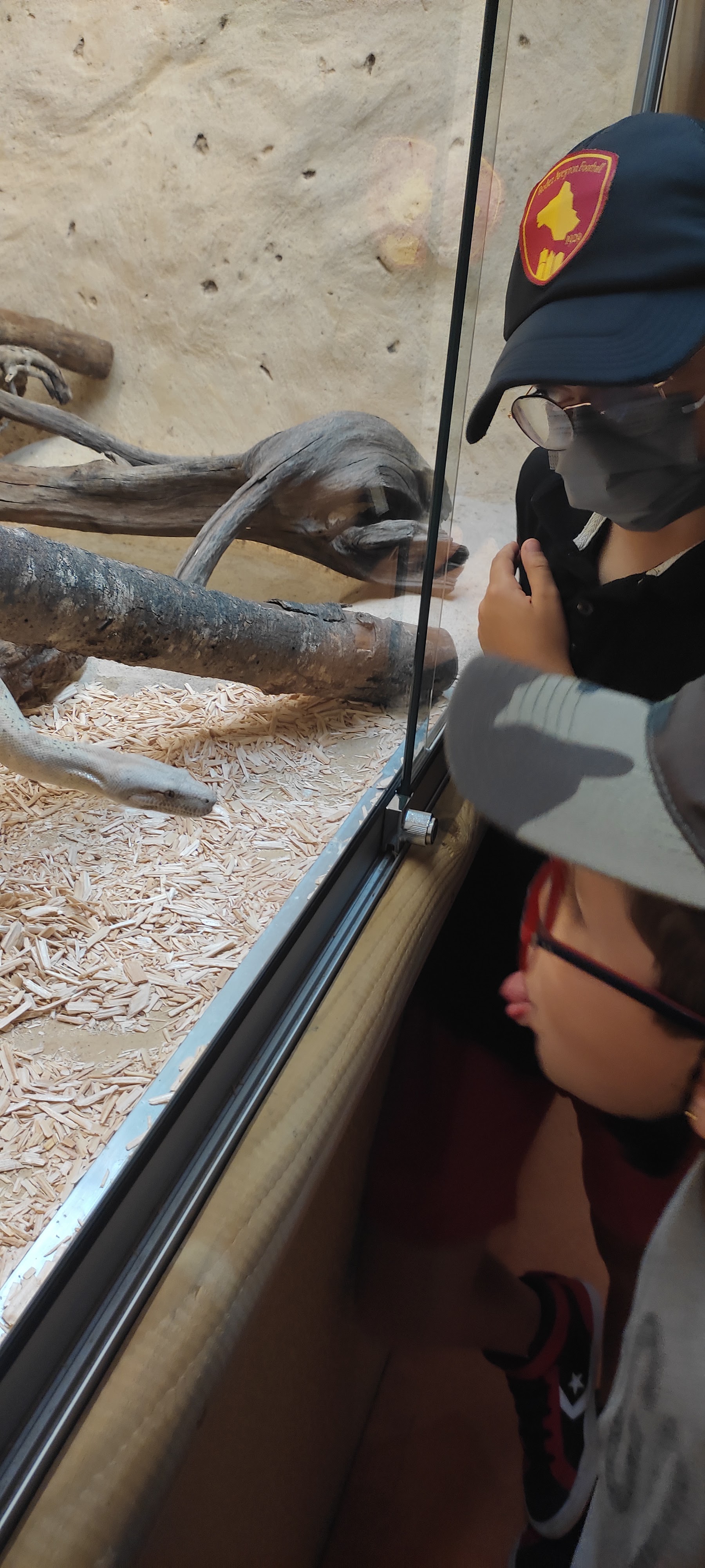 Photo n° 23 de l'avis de Astrid.i fait le 17/09/2021 à 13:14