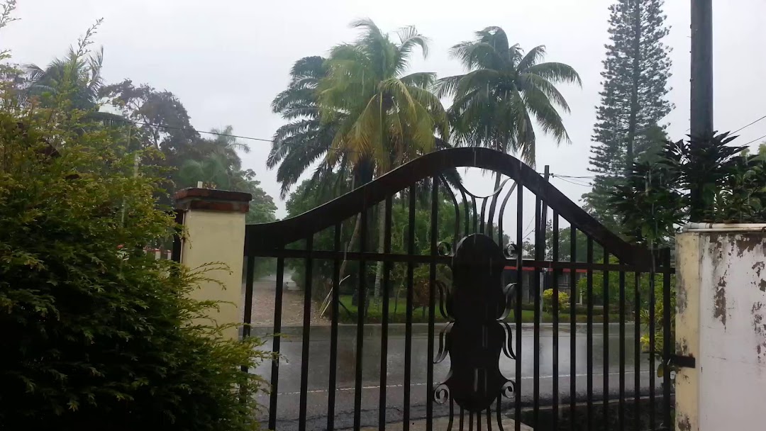 Chelín Colmado