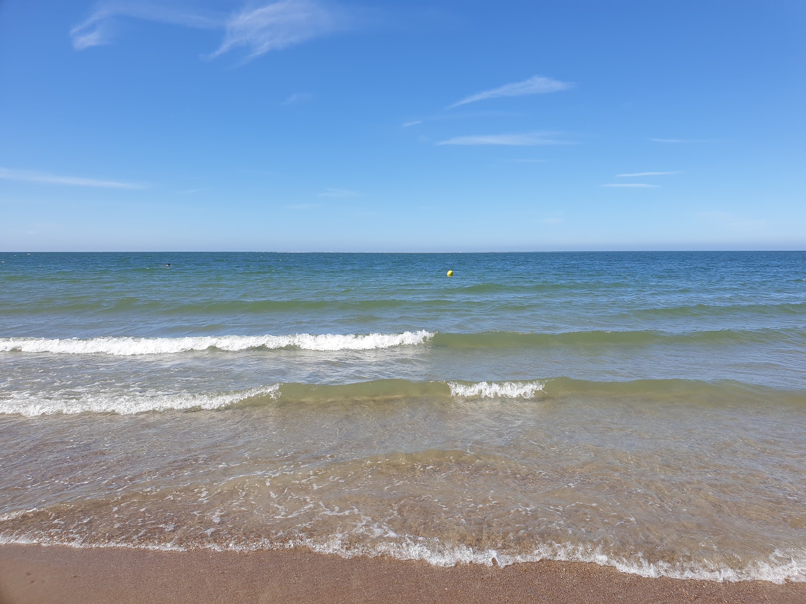 Foto di Renesse Beach - luogo popolare tra gli intenditori del relax