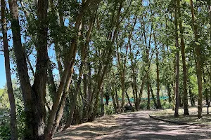 Parque de La Isla image