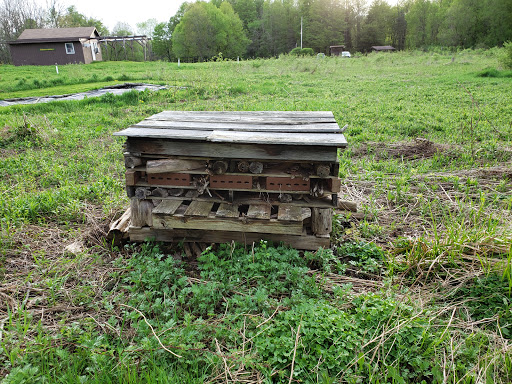 Nature Preserve «Beaver Meadow Audubon Center», reviews and photos, 1610 Welch Rd, Java Center, NY 14082, USA