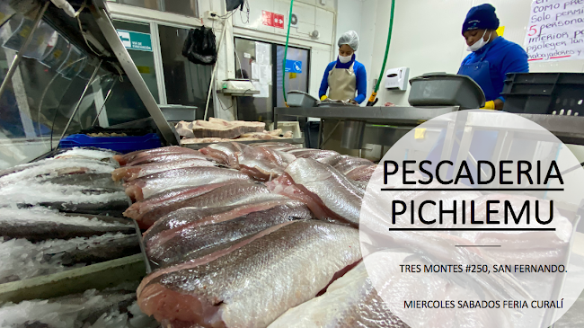 Opiniones de Pescaderia y Cocineria Pichilemu en San Fernando - Marisquería
