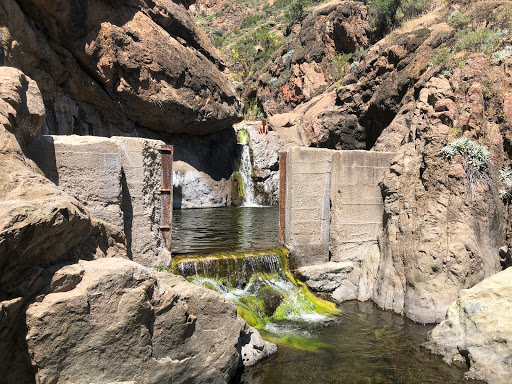 National Park «Channel Islands National Park», reviews and photos