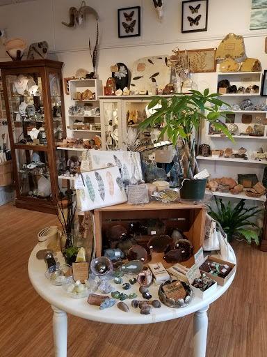 Gift Shop «The Rock and Art Shop», reviews and photos, 163 Main St, Ellsworth, ME 04605, USA