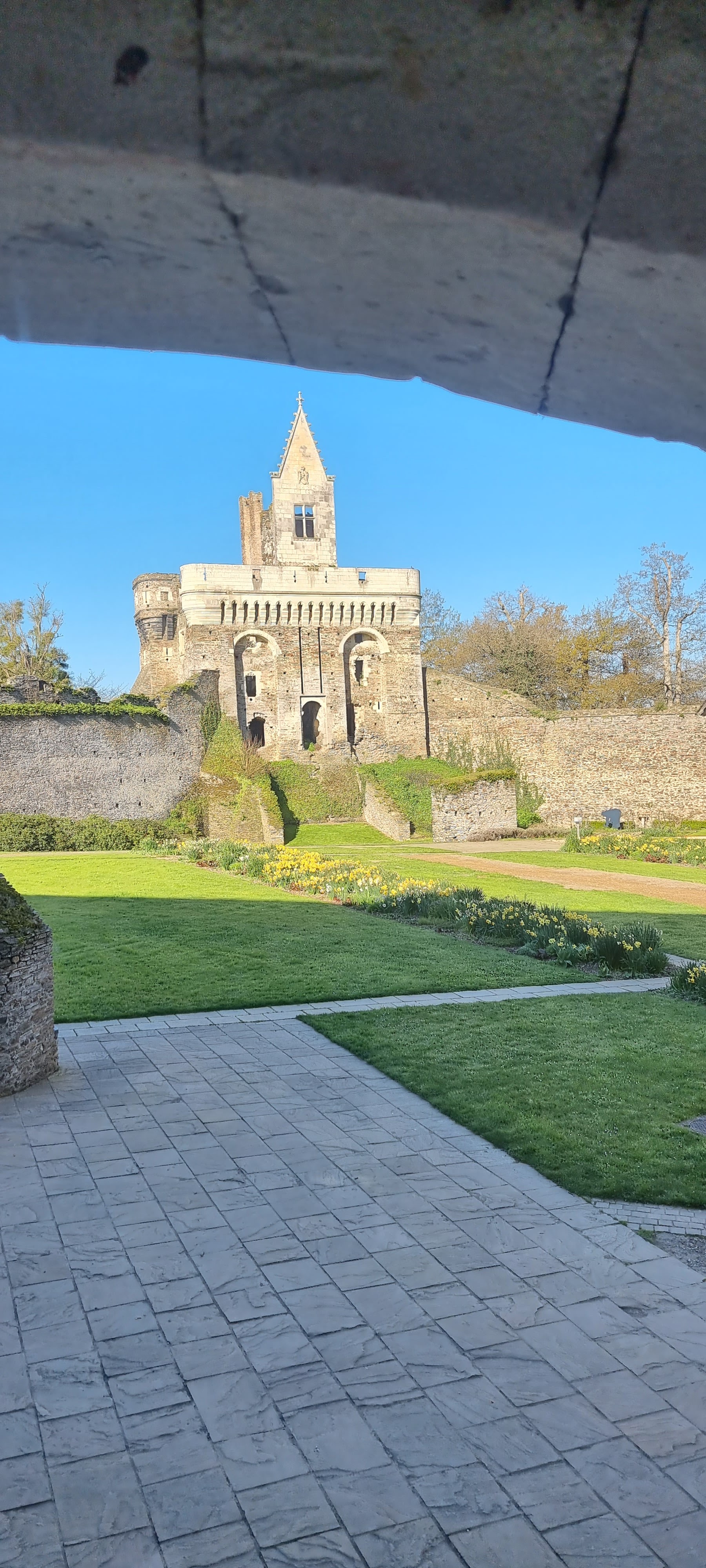 Photo n° 12 de l'avis de sebastien.o fait le 07/04/2023 à 19:03