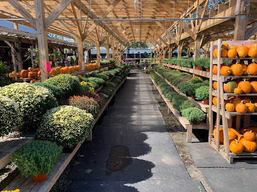 Agriventures Agway, 92 Mill Plain Rd, Danbury, CT 06811, USA, 