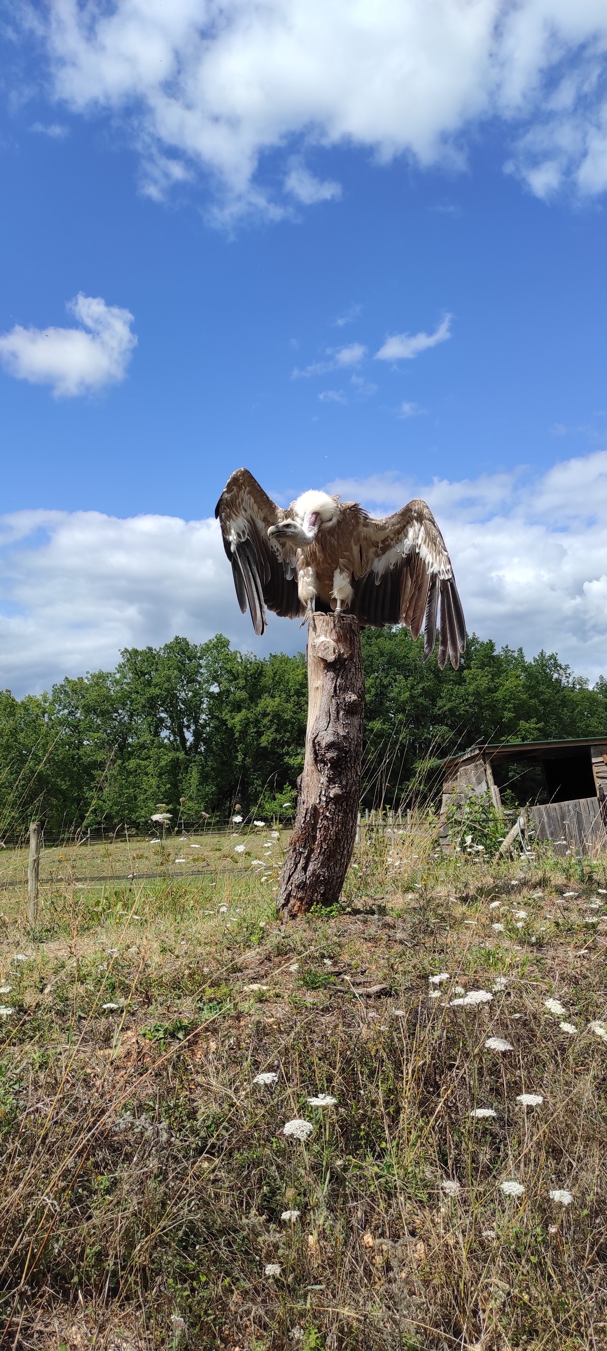 Photo n° 2 de l'avis de Claire.a fait le 06/08/2023 à 15:10