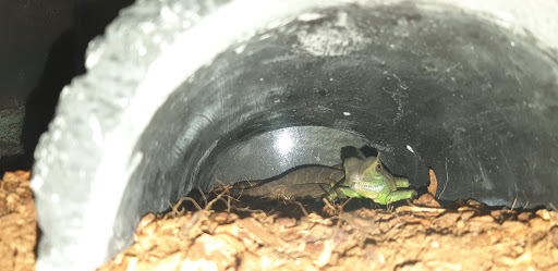 Pet Supply Store «Petco Animal Supplies», reviews and photos, 200 McMahan Blvd, Marion, OH 43302, USA