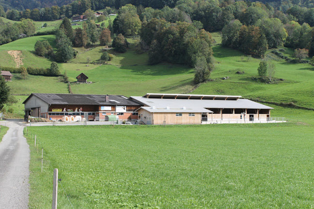 Rezensionen über A. Riget Holzbau AG in Glarus Nord - Zimmermann