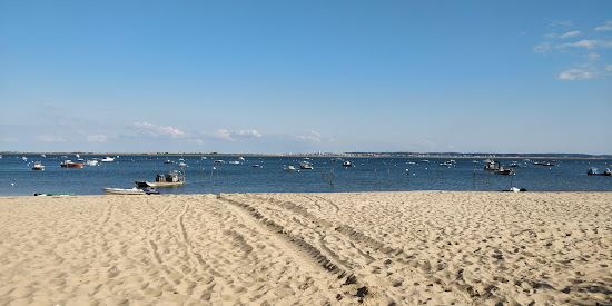 Plage de la Jetee