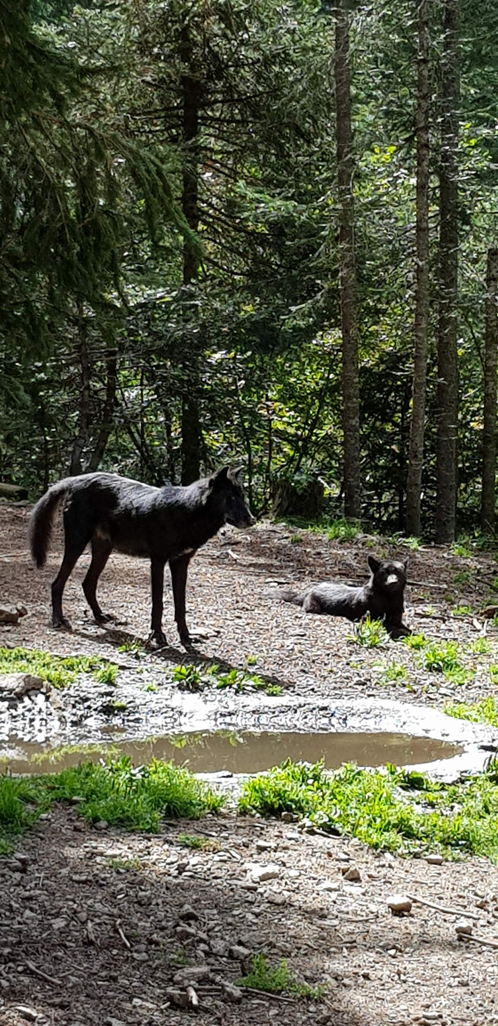 Photo n° 4 de l'avis de Denny.a fait le 23/08/2019 à 07:52