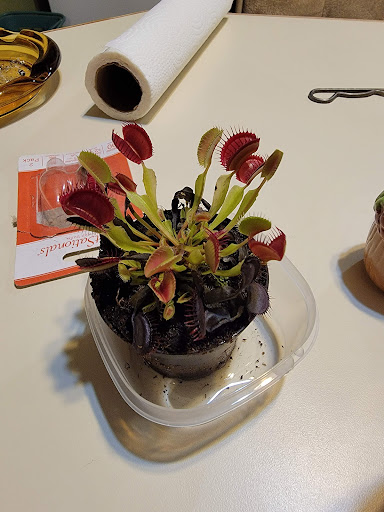 Department Store «Walmart Supercenter», reviews and photos, 950 E Greenville Pike, Winchester, IN 47394, USA