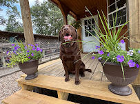 Bailey's Boarding House - Photo 3 - Car repair in Rudy, AR, Fort Smith